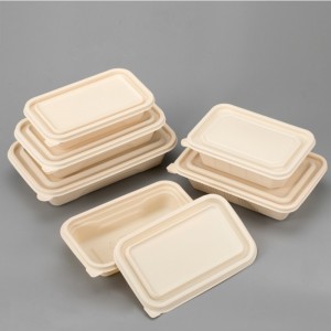 Contenants de stockage de nourriture jetables compostables écologiques de forme carrée contenant des aliments biodégradables d\'amidon de maïs à emporter